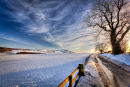 Winter Country Road